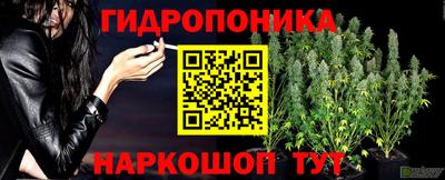 дмт Тулун