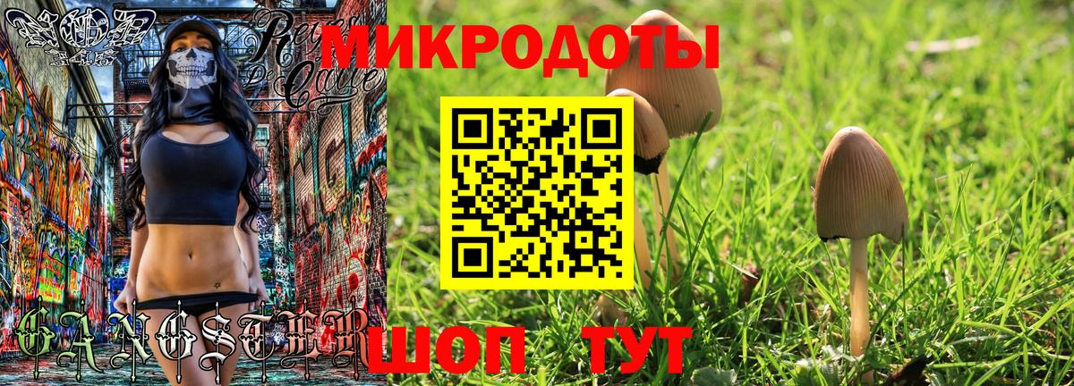 Галлюциногенные грибы GOLDEN TEACHER Новый Уренгой